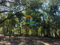 TERRENO EM AMPARO,SP