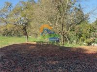 TERRENO EM AMPARO,SP
