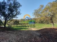 TERRENO EM AMPARO,SP