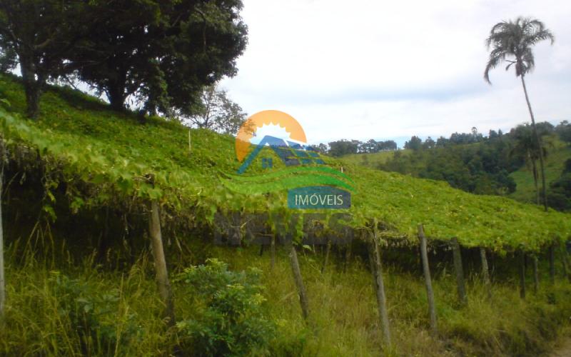 Sítio em Bairra dos Pereiras