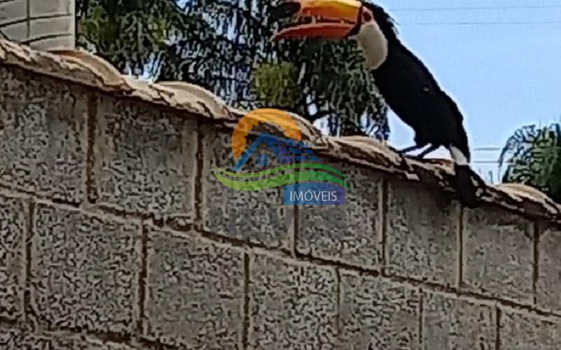 Chácara em Amparo/SP