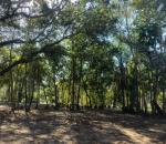 TERRENO EM AMPARO,SP
